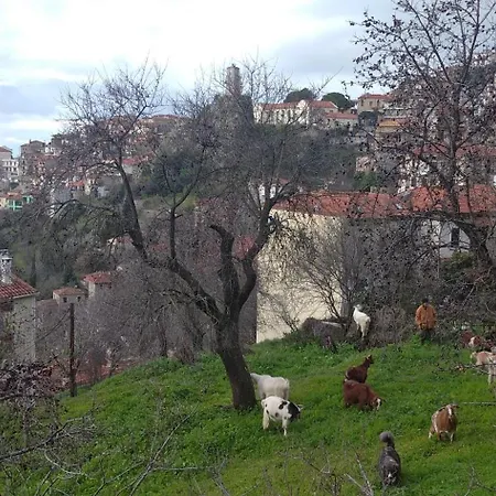 Gasthuis χρύσα Arachova