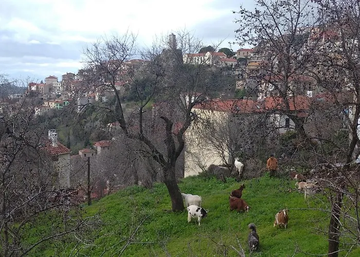 Maison d'hôtes χρύσα και Arachova